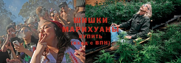 ГАЛЛЮЦИНОГЕННЫЕ ГРИБЫ Алзамай