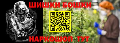 стаф Будённовск
