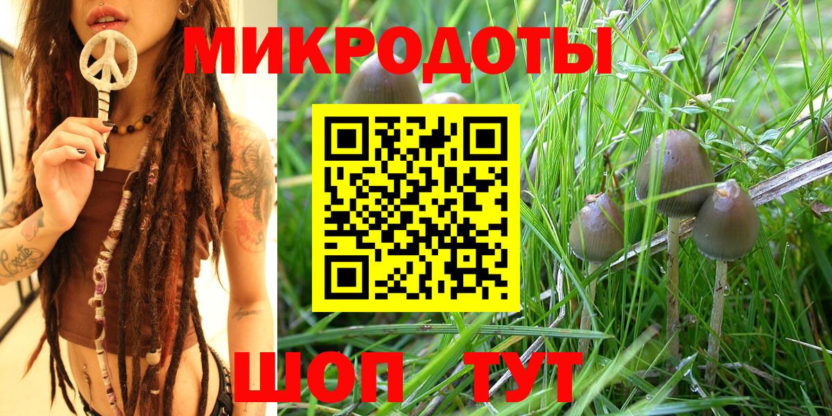 Псилоцибиновые грибы мухоморы  Псилоцибиновые грибы мухоморы  Карпинск  где купить наркоту  Вход с VPN 
